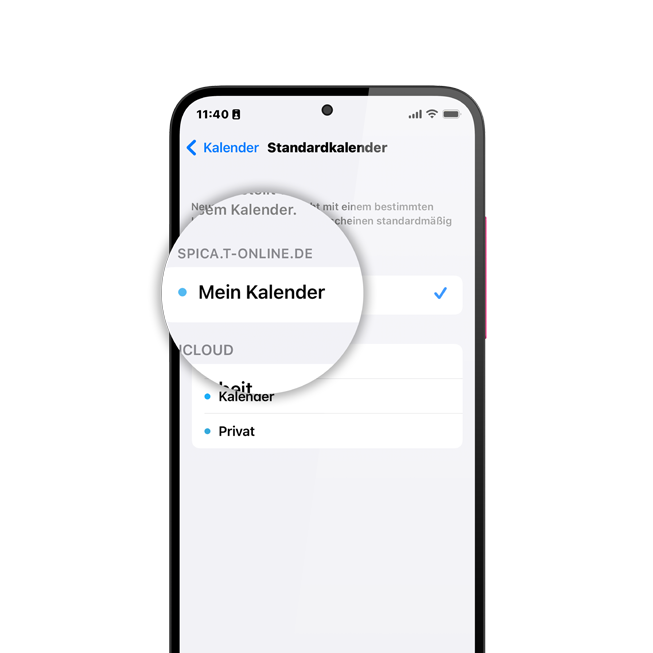 Unter "SPICA.T-ONLINE.DE" erscheint Ihr Kalender